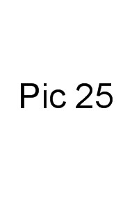 Sylvania Baby Photos